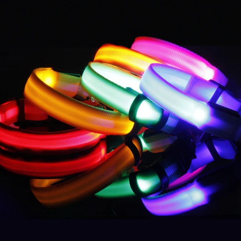 Coleira de cachorro com LED para carregamento USB, segurança para cães, luz noturna, colar piscante, coleiras fluorescentes