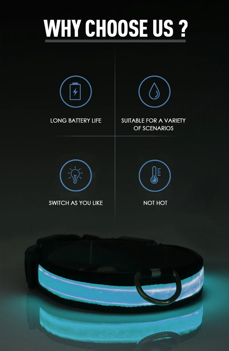 Coleira de cachorro com LED para carregamento USB, segurança para cães, luz noturna, colar piscante, coleiras fluorescentes