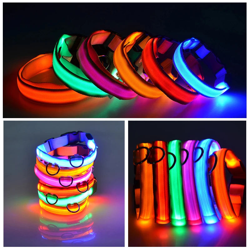 Coleira de cachorro com LED para carregamento USB, segurança para cães, luz noturna, colar piscante, coleiras fluorescentes