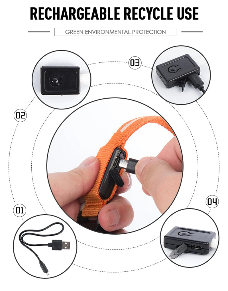Coleira de cachorro com LED para carregamento USB, segurança para cães, luz noturna, colar piscante, coleiras fluorescentes