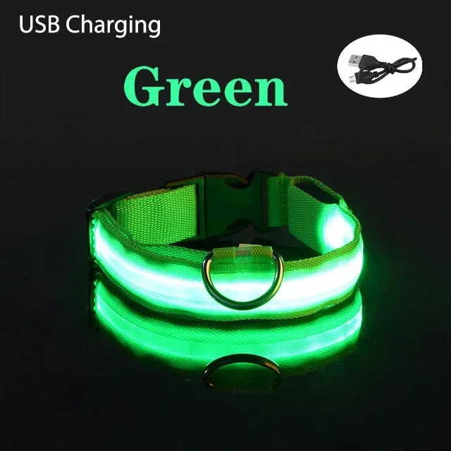 Coleira de cachorro com LED para carregamento USB, segurança para cães, luz noturna, colar piscante, coleiras fluorescentes