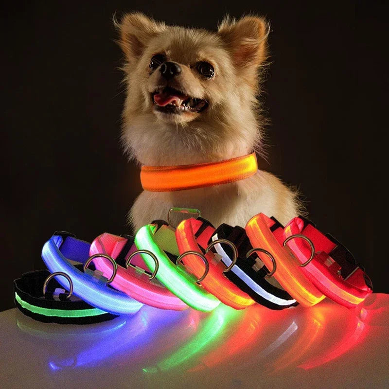 Coleira de cachorro com LED para carregamento USB, segurança para cães, luz noturna, colar piscante, coleiras fluorescentes