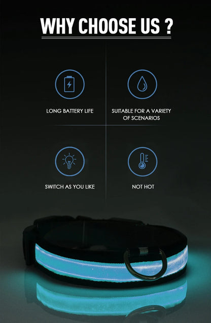 Coleira de cachorro com LED para carregamento USB, segurança para cães, luz noturna, colar piscante, coleiras fluorescentes