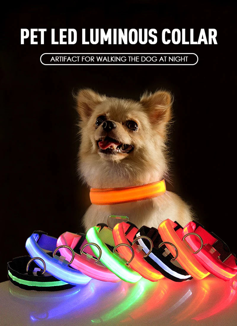 Coleira de cachorro com LED para carregamento USB, segurança para cães, luz noturna, colar piscante, coleiras fluorescentes
