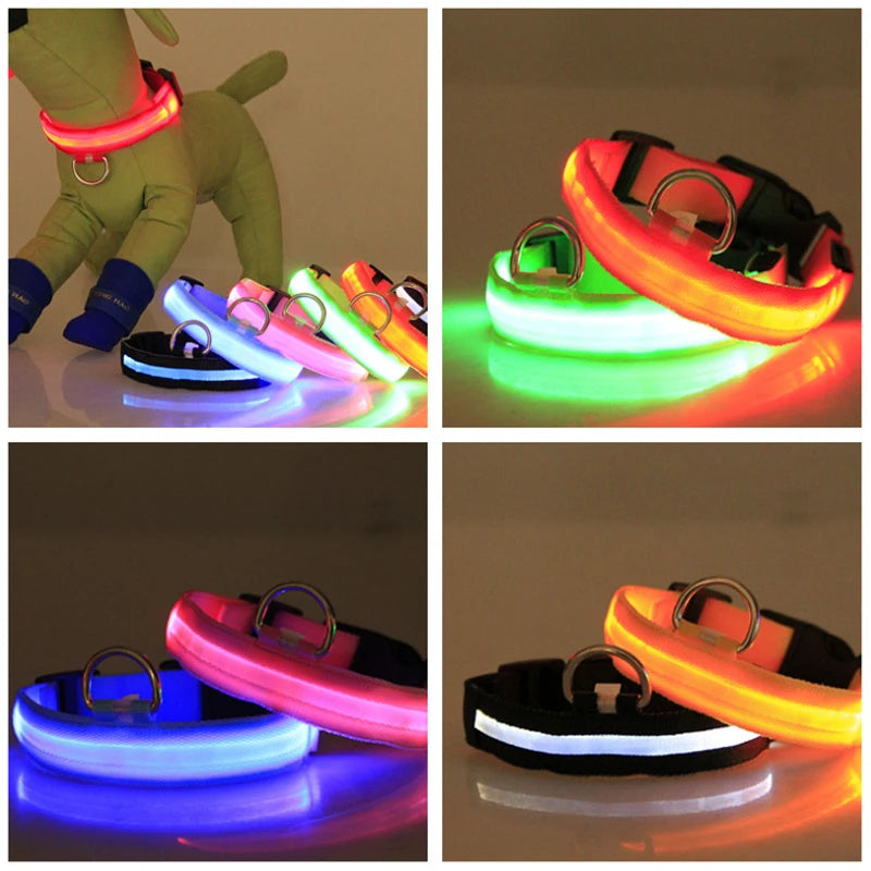 Coleira de cachorro com LED para carregamento USB, segurança para cães, luz noturna, colar piscante, coleiras fluorescentes