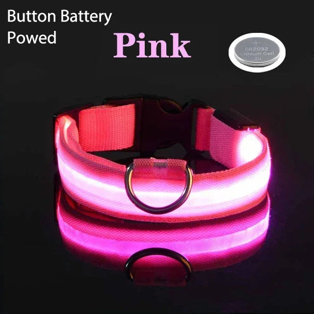 Coleira de cachorro com LED para carregamento USB, segurança para cães, luz noturna, colar piscante, coleiras fluorescentes