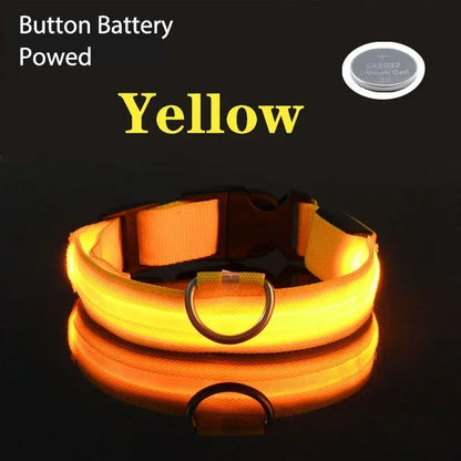 Coleira de cachorro com LED para carregamento USB, segurança para cães, luz noturna, colar piscante, coleiras fluorescentes