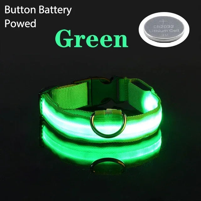 Coleira de cachorro com LED para carregamento USB, segurança para cães, luz noturna, colar piscante, coleiras fluorescentes