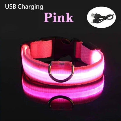 Coleira de cachorro com LED para carregamento USB, segurança para cães, luz noturna, colar piscante, coleiras fluorescentes