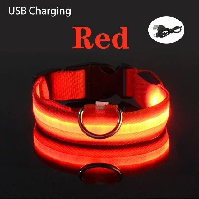 Coleira de cachorro com LED para carregamento USB, segurança para cães, luz noturna, colar piscante, coleiras fluorescentes