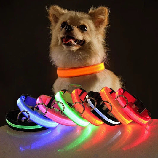 Coleira de cachorro com LED para carregamento USB, segurança para cães, luz noturna, colar piscante, coleiras fluorescentes