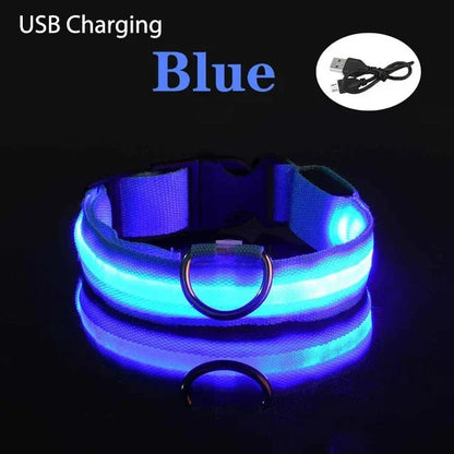 Coleira de cachorro com LED para carregamento USB, segurança para cães, luz noturna, colar piscante, coleiras fluorescentes