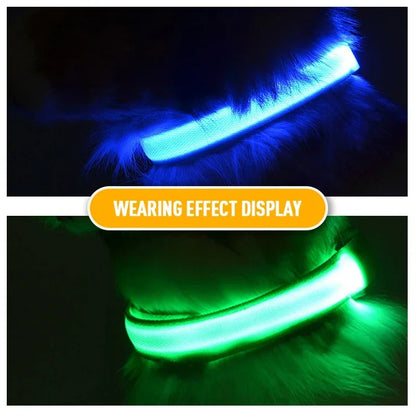 Coleira de cachorro com LED para carregamento USB, segurança para cães, luz noturna, colar piscante, coleiras fluorescentes