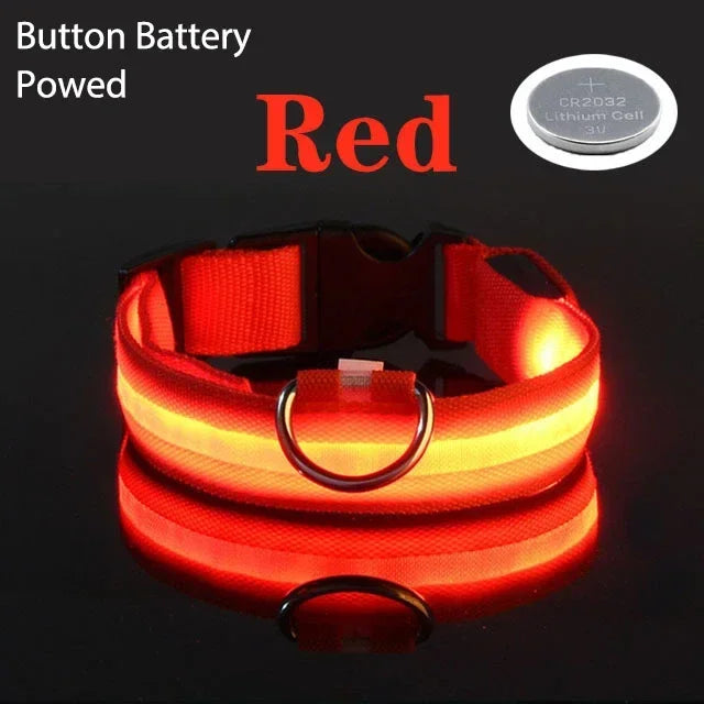 Coleira de cachorro com LED para carregamento USB, segurança para cães, luz noturna, colar piscante, coleiras fluorescentes