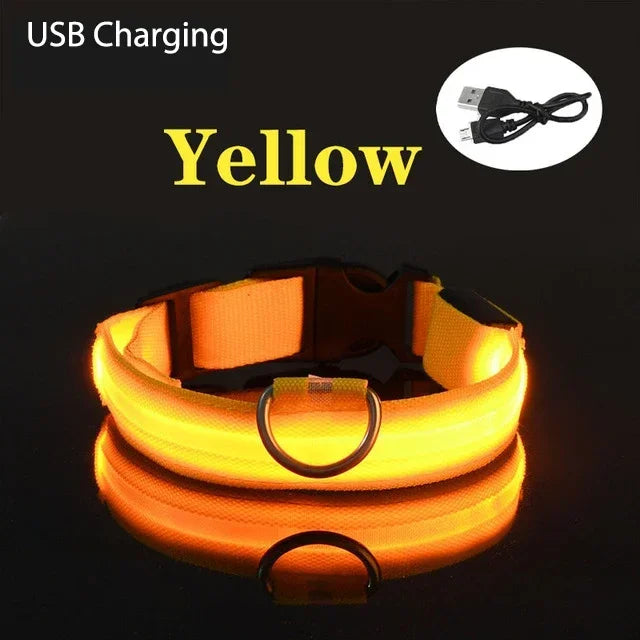 Coleira de cachorro com LED para carregamento USB, segurança para cães, luz noturna, colar piscante, coleiras fluorescentes